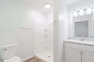 113 Prairie Run, Illiopolis, IL 62539 - Photo 19