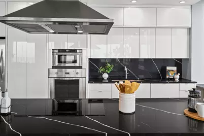 1000 N Lake Shore Plaza #49A, Chicago, IL 60611 - Photo 17