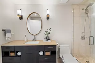 1000 N Lake Shore Plaza, Chicago, IL 60611 - Photo 49