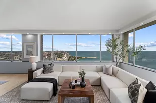 1000 N Lake Shore Plaza, Chicago, IL 60611 - Photo 3