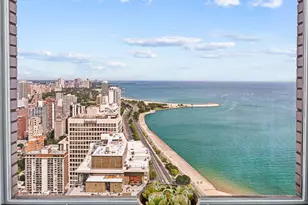 1000 N Lake Shore Plaza, Chicago, IL 60611 - Photo 25