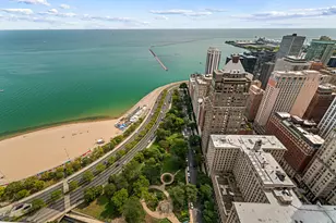1000 N Lake Shore Plaza, Chicago, IL 60611 - Photo 39