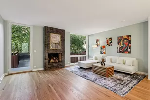 1319 N Sandburg Terrace, Chicago, IL 60610 - Photo 5