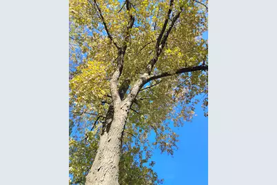 371 S Edison Avenue, Elgin, IL 60123 - Photo 31