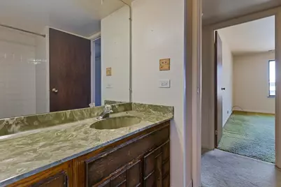 820 Elder Road #C410, Homewood, IL 60430 - Photo 17