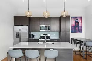 1728 W Division St, Chicago, IL 60622 - Photo 3