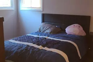 8132 S Kilbourn Ave, Chicago, IL 60652 - Photo 7