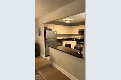 110 E Delaware Place #2003, Chicago, IL 60611 - Photo 7