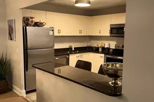 110 E Delaware Pl, Chicago, IL 60611 - Photo 7