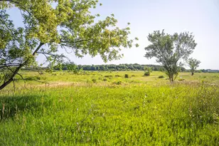 871 Briar Gln Ct, Hampshire, IL 60140 - Photo 57