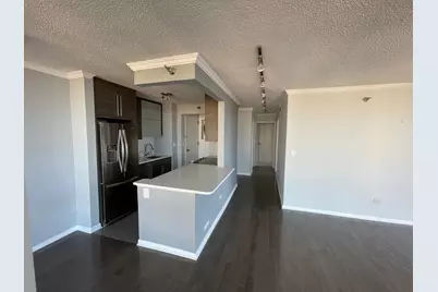 111 W Maple Street #3201, Chicago, IL 60610 - Photo 11
