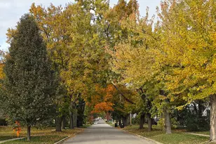 14 Lincoln Pkwy, Crystal Lake, IL 60014 - Photo 31