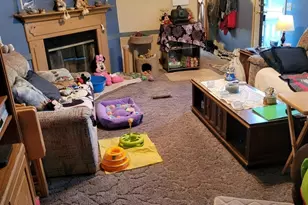 47 Partridge Ln, Beecher, IL 60401 - Photo 11