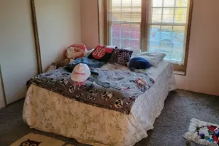 47 Partridge Ln, Beecher, IL 60401 - Photo 15