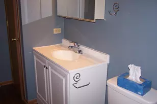 4302 Shamrock Ln, McHenry, IL 60050 - Photo 9