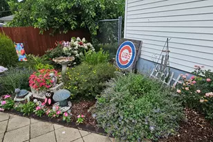 274 W Sheffield St, Saint Anne, IL 60964 - Photo 23