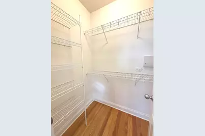 3106 S Wells Street #3, Chicago, IL 60616 - Photo 11