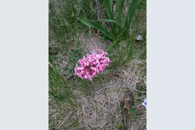 3349 Mill Road, Cherry Valley, IL 61016 - Photo 31