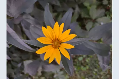 3349 Mill Road, Cherry Valley, IL 61016 - Photo 33