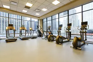 240 E Illinois St, Chicago, IL 60611 - Photo 45