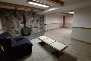 2502 E Vandrunen Dr, Crete, IL 60417 - Photo 47