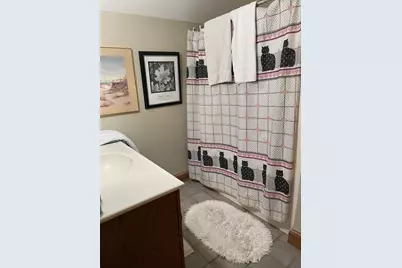 2502 E Vandrunen Drive, Crete, IL 60417 - Photo 43