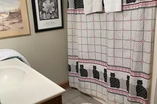 2502 E Vandrunen Dr, Crete, IL 60417 - Photo 43