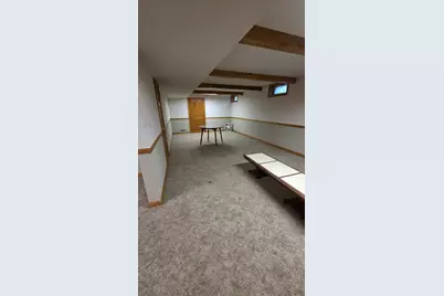 2502 E Vandrunen Drive, Crete, IL 60417 - Photo 51