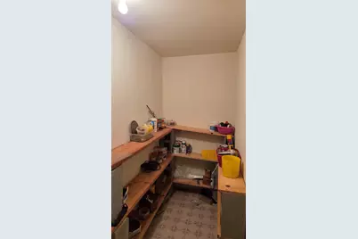 2502 E Vandrunen Drive, Crete, IL 60417 - Photo 53