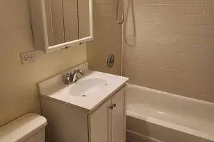 3219 W Division St, Chicago, IL 60651 - Photo 11