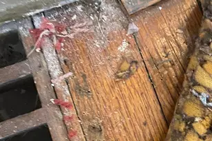 1225 E 71st Pl, Chicago, IL 60619 - Photo 5