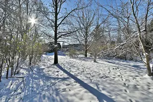 532 66th St, Downers Grove, IL 60516 - Photo 31