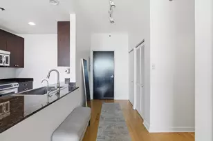 303 W Ohio St, Chicago, IL 60654 - Photo 9