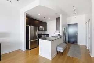 303 W Ohio St, Chicago, IL 60654 - Photo 7