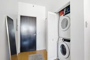 303 W Ohio St, Chicago, IL 60654 - Photo 13