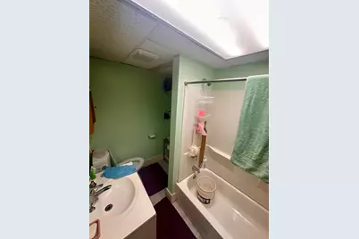 256 W Downer Place, Aurora, IL 60506 - Photo 11