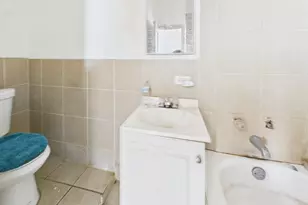 8709 S Escanaba Ave, Chicago, IL 60617 - Photo 19