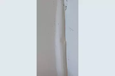 738 W 51st Street, Chicago, IL 60609 - Photo 9