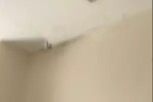 738 W 51st St, Chicago, IL 60609 - Photo 11