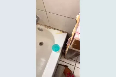 738 W 51st Street, Chicago, IL 60609 - Photo 15