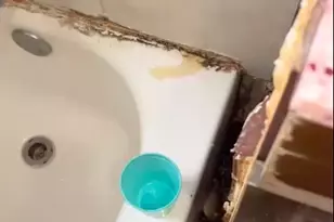 738 W 51st St, Chicago, IL 60609 - Photo 15