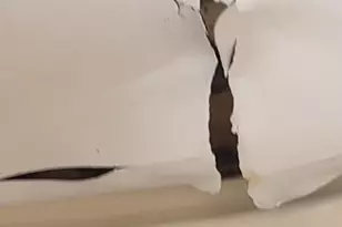 738 W 51st St, Chicago, IL 60609 - Photo 3