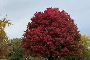 1713 W Bob O Link Dr, Pontiac, IL 61764 - Photo 17