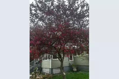 102 E Lincoln Street, Pesotum, IL 61863 - Photo 21