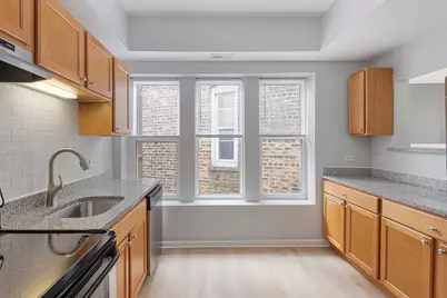 1460 W Fargo Avenue #309, Chicago, IL 60626 - Photo 5