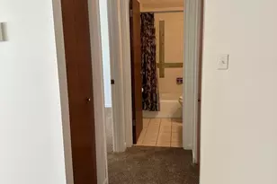 222 Madison St, Joliet, IL 60435 - Photo 11