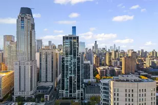 1030 N State St, Chicago, IL 60610 - Photo 13