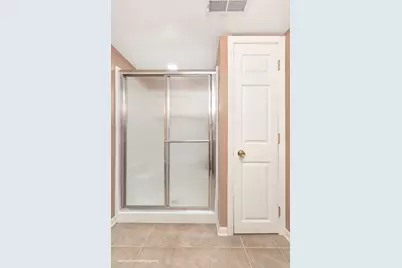 842 Winmoor Drive, Sleepy Hollow, IL 60118 - Photo 39