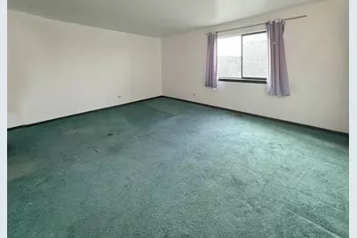 349 W 26th Street, Chicago, IL 60616 - Photo 25