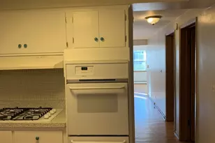 5415 N Monitor Ave, Chicago, IL 60630 - Photo 11